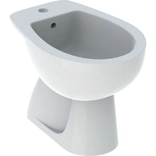 Carregar imagem no visualizador da galeria, Par de sanitários de chão Geberit Colibrì com saída vertical