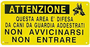 Placa 